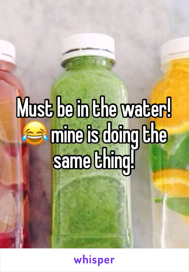 Must be in the water! 😂 mine is doing the same thing!