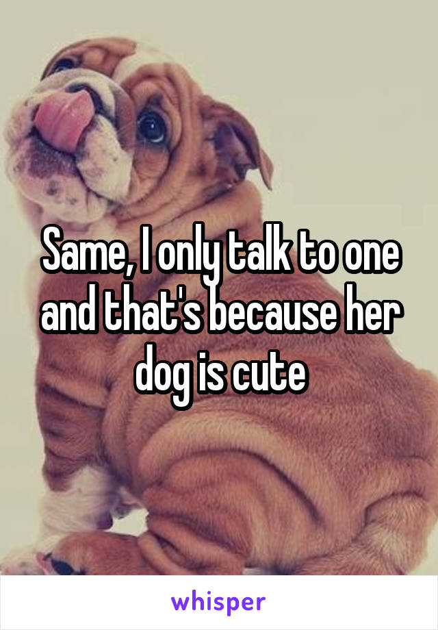 Same, I only talk to one and that's because her dog is cute