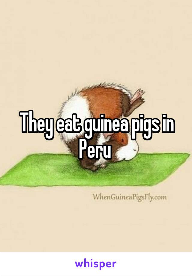 They eat guinea pigs in Peru 