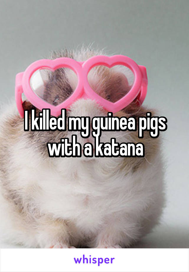 I killed my guinea pigs with a katana