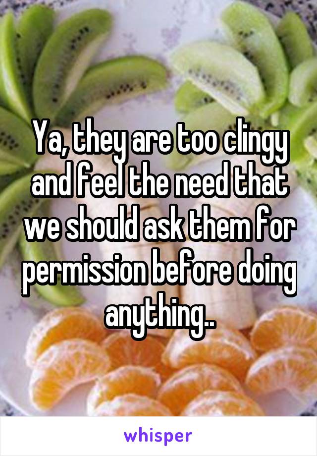 Ya, they are too clingy and feel the need that we should ask them for permission before doing anything..