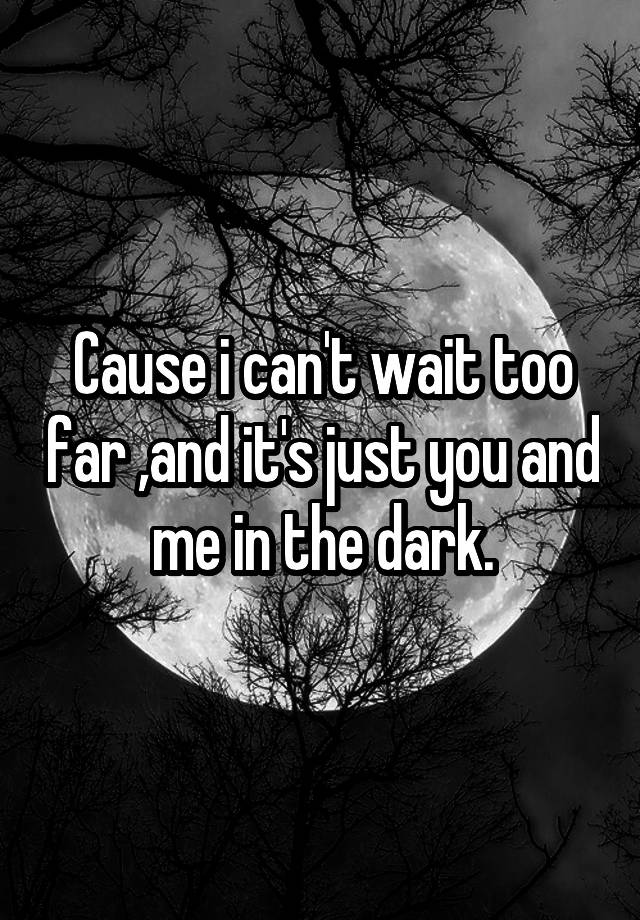 cause-i-can-t-wait-too-far-and-it-s-just-you-and-me-in-the-dark