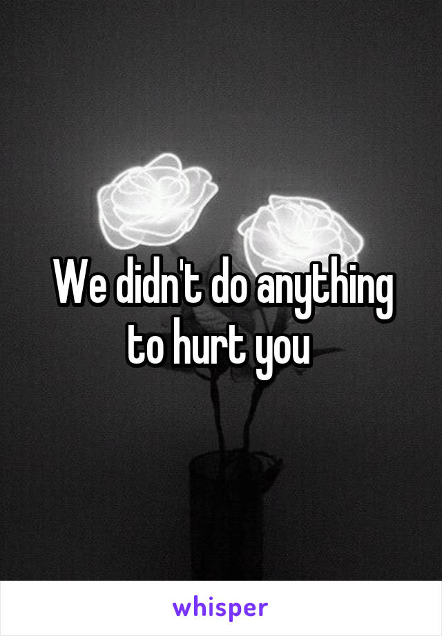 We didn't do anything to hurt you 