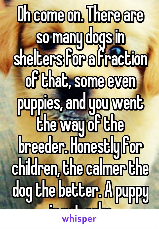 Oh come on. There are so many dogs in shelters for a fraction of that, some even puppies, and you went the way of the breeder. Honestly for children, the calmer the dog the better. A puppy is not calm