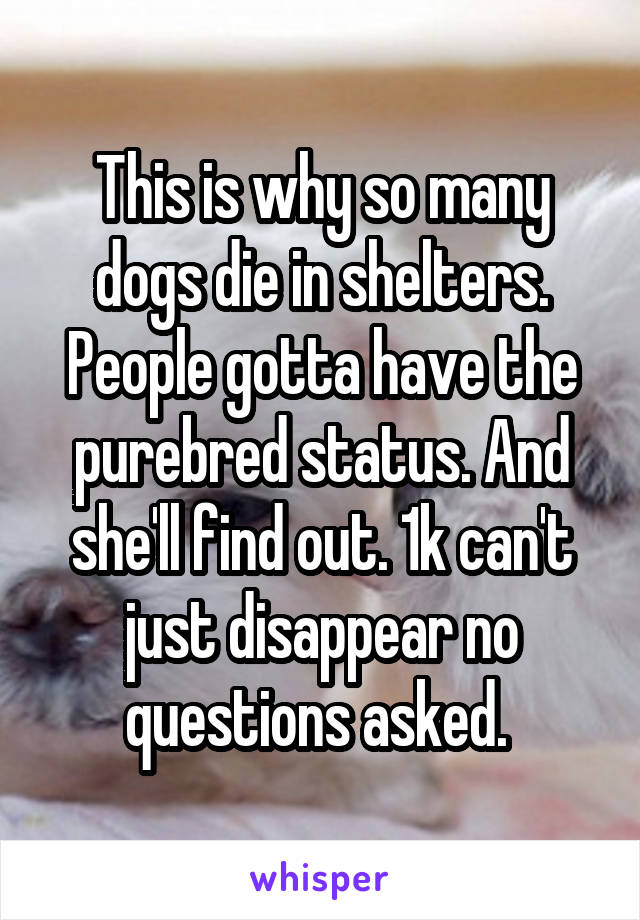 This is why so many dogs die in shelters. People gotta have the purebred status. And she'll find out. 1k can't just disappear no questions asked. 