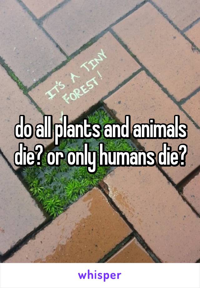 do-all-plants-and-animals-die-or-only-humans-die