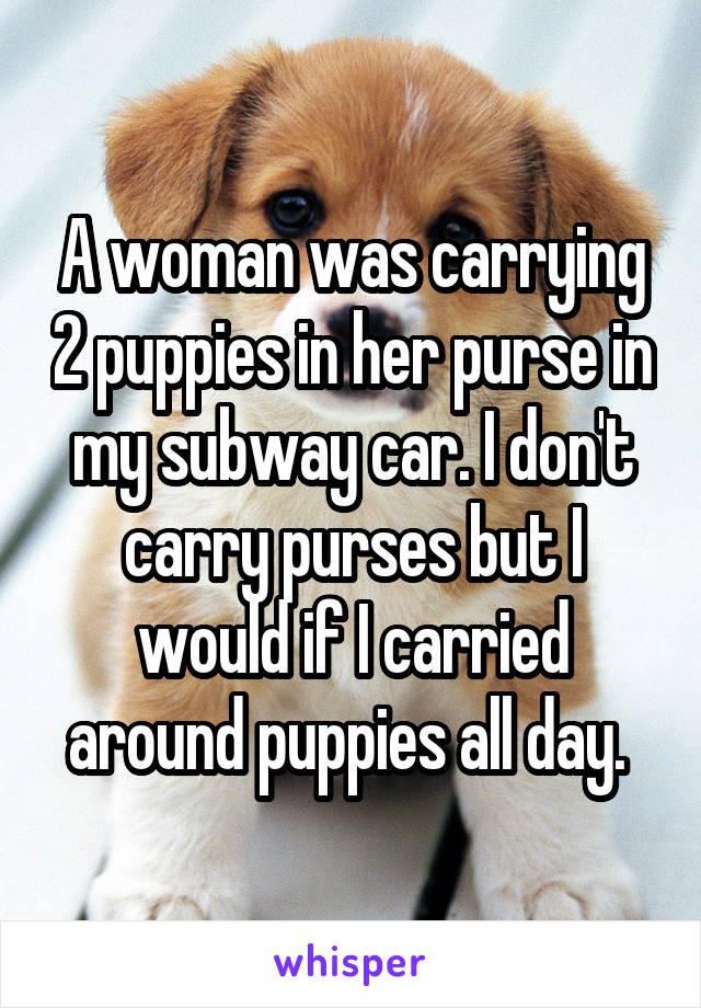 A woman was carrying 2 puppies in her purse in my subway car. I don't carry purses but I would if I carried around puppies all day. 