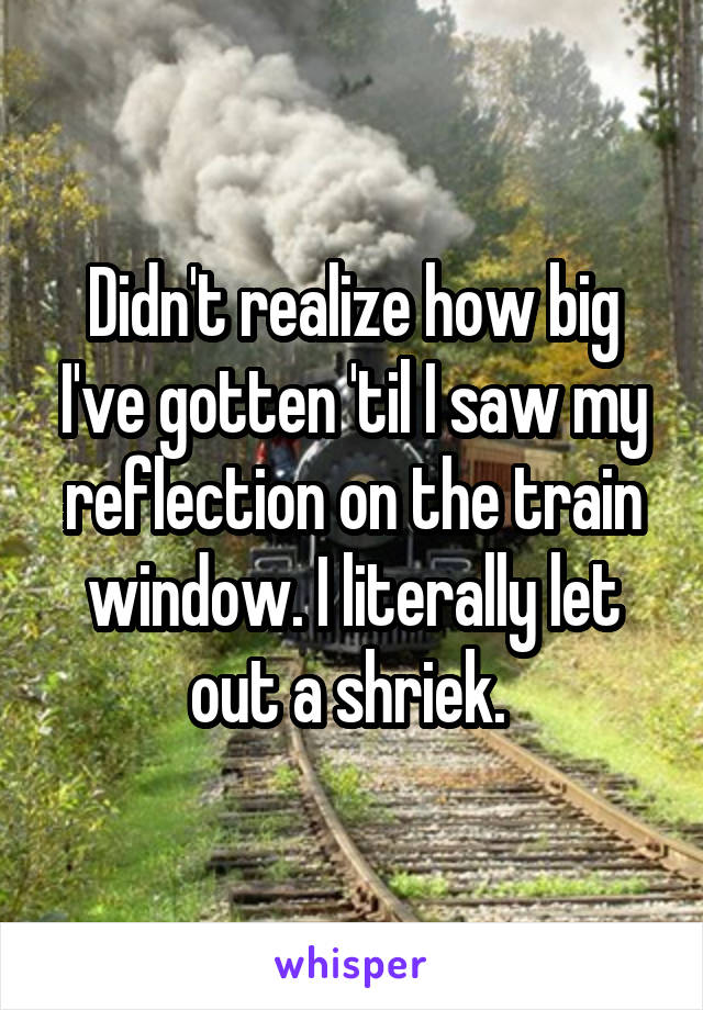 Didn't realize how big I've gotten 'til I saw my reflection on the train window. I literally let out a shriek. 