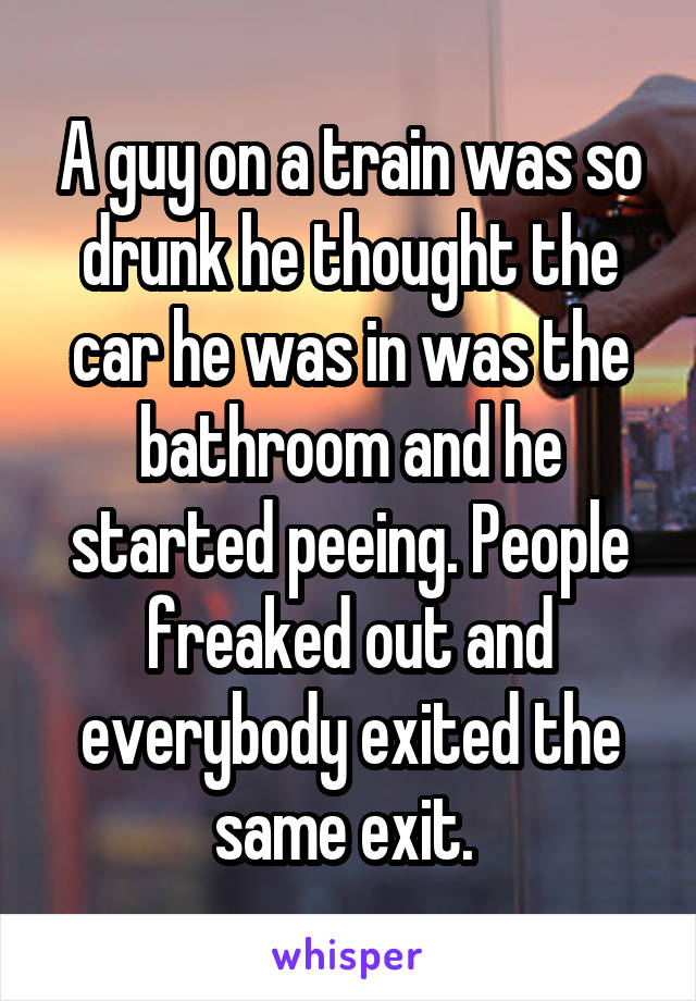 A guy on a train was so drunk he thought the car he was in was the bathroom and he started peeing. People freaked out and everybody exited the same exit. 