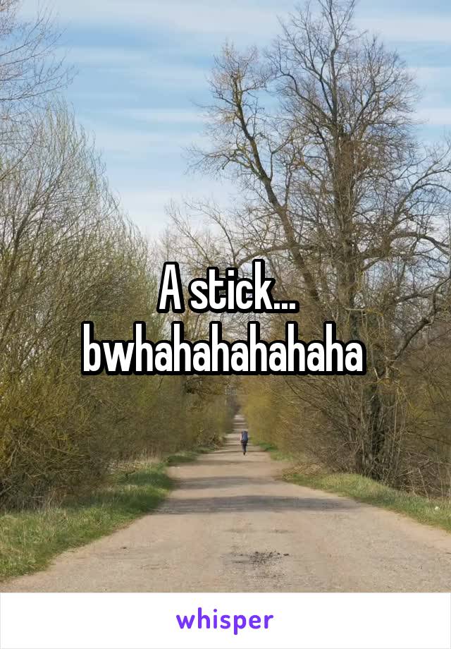 A stick... bwhahahahahaha 