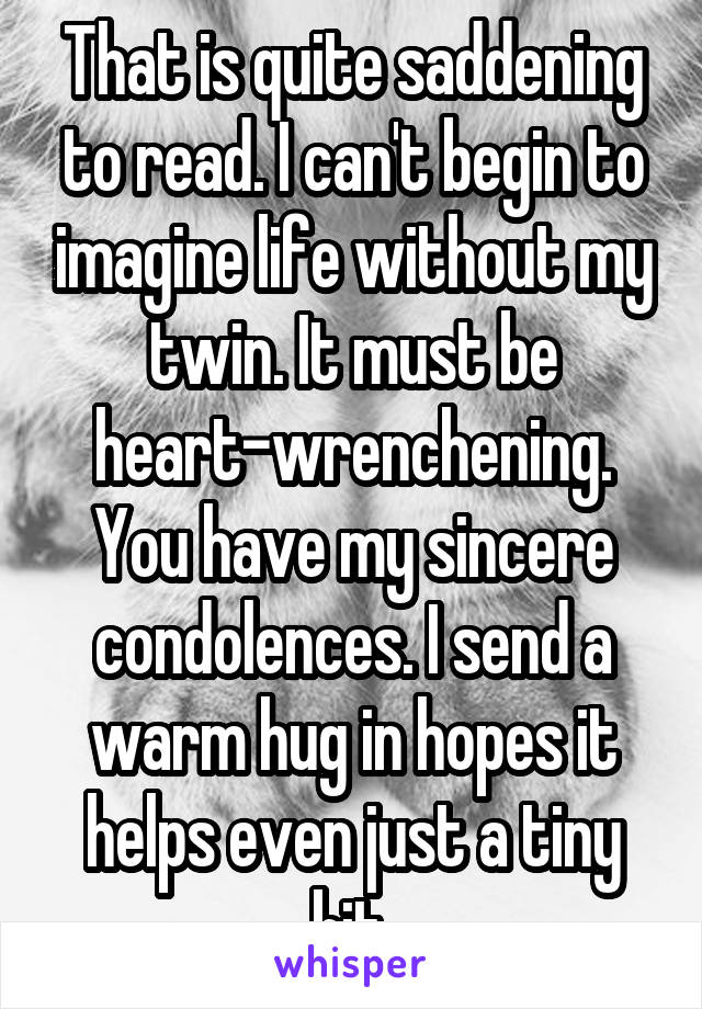 That is quite saddening to read. I can't begin to imagine life without my twin. It must be heart-wrenchening. You have my sincere condolences. I send a warm hug in hopes it helps even just a tiny bit.