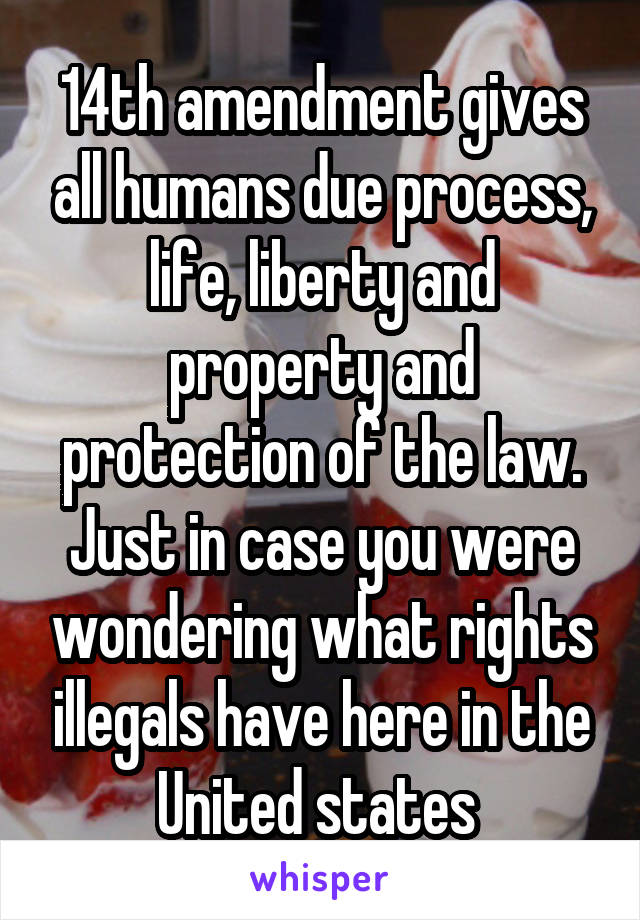 14th amendment gives all humans due process, life, liberty and property and protection of the law. Just in case you were wondering what rights illegals have here in the United states 