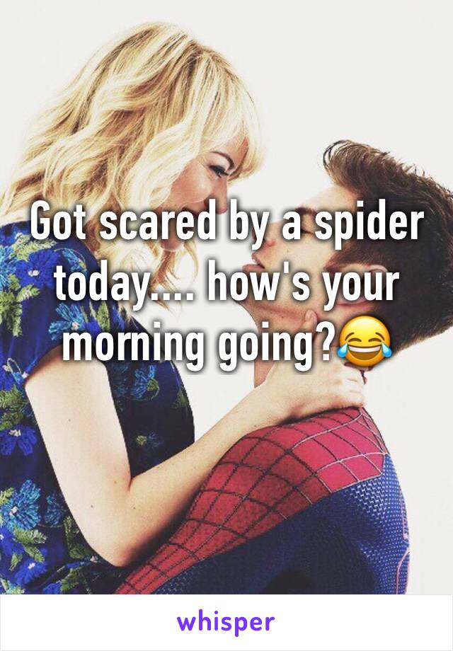 Got scared by a spider today.... how's your morning going?😂