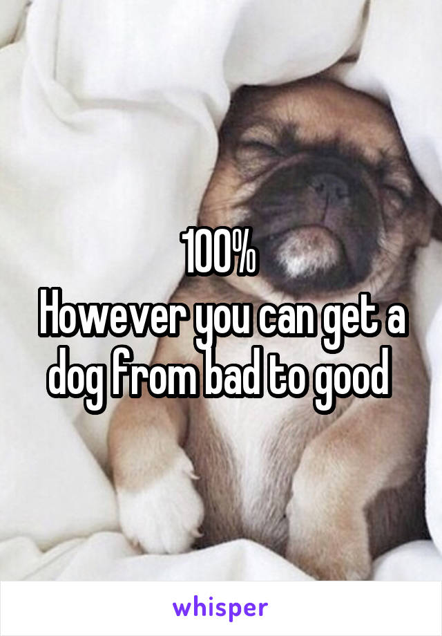 100% 
However you can get a dog from bad to good 
