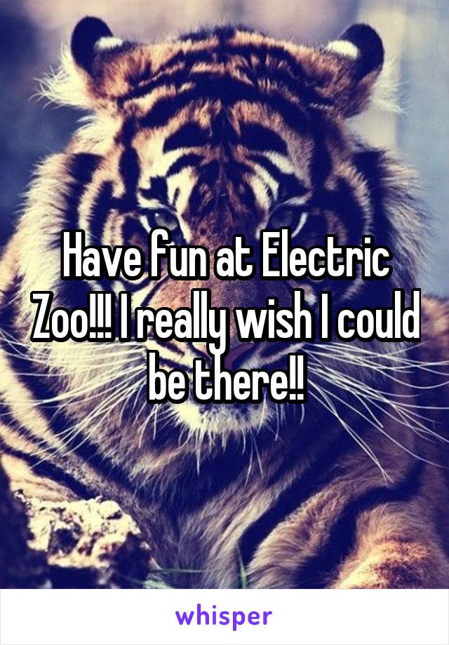 Have fun at Electric Zoo!!! I really wish I could be there!!