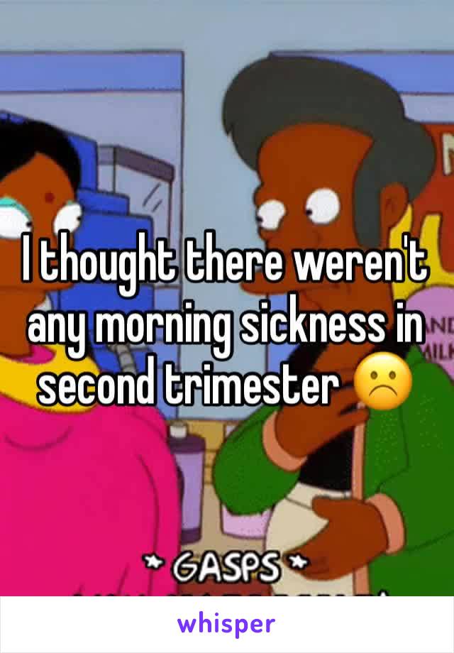 I thought there weren't any morning sickness in second trimester ☹️