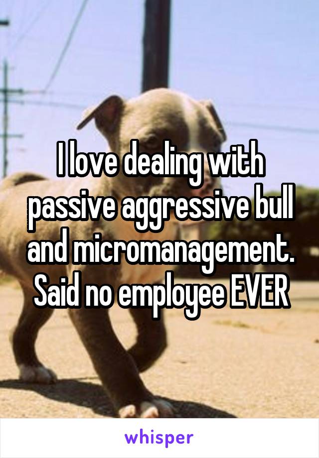 I love dealing with passive aggressive bull and micromanagement. Said no employee EVER