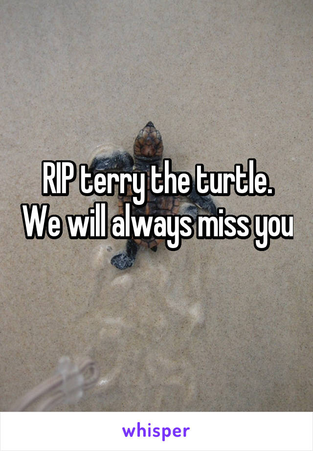 RIP terry the turtle. We will always miss you 
