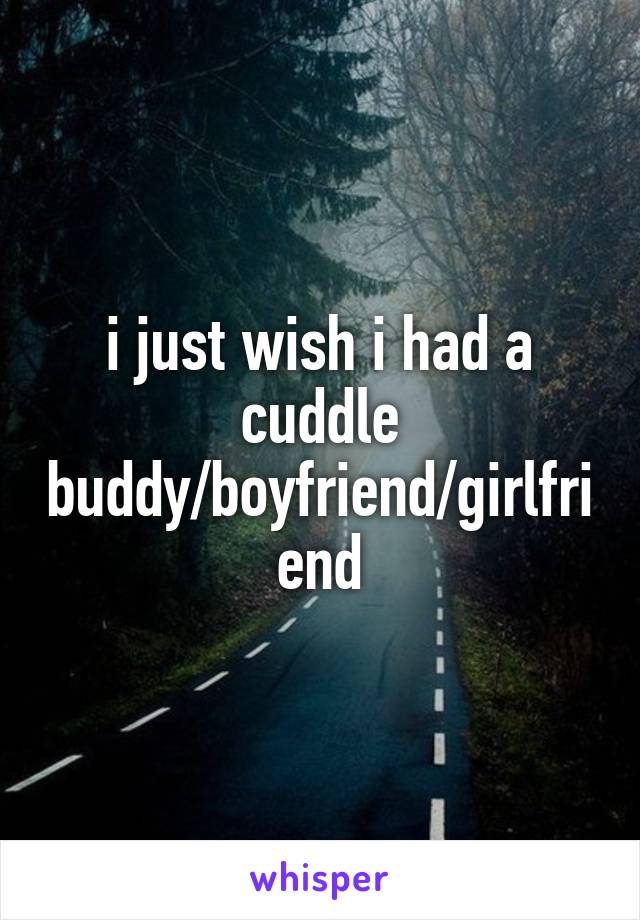 i just wish i had a cuddle buddy/boyfriend/girlfriend
