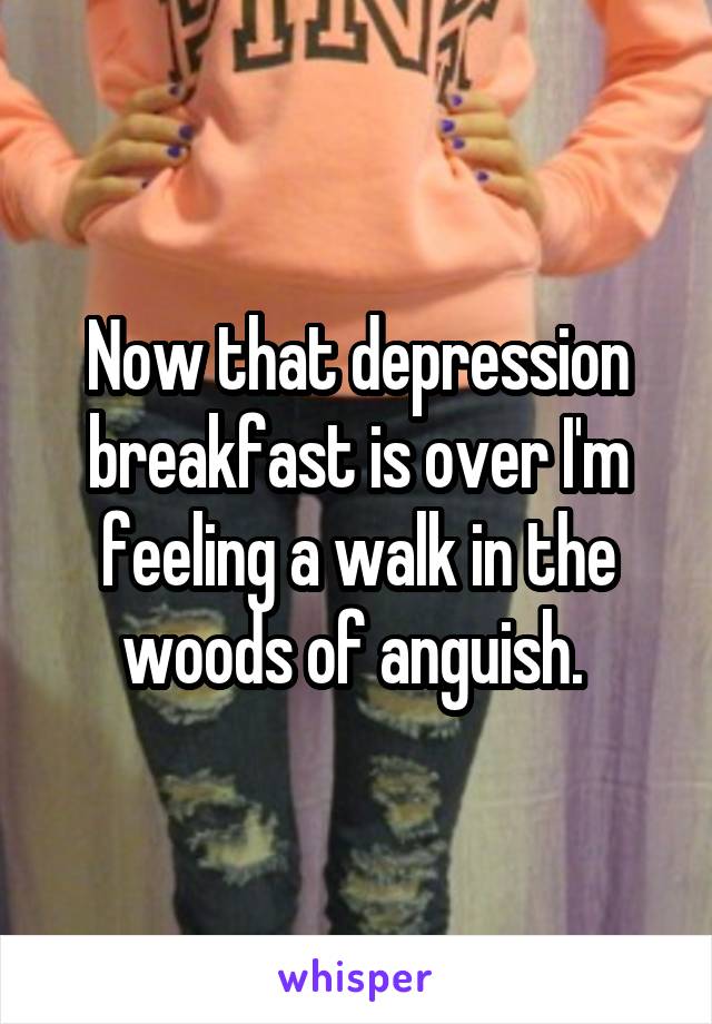 Now that depression breakfast is over I'm feeling a walk in the woods of anguish. 