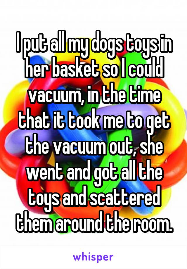 I put all my dogs toys in her basket so I could vacuum, in the time that it took me to get the vacuum out, she went and got all the toys and scattered them around the room.