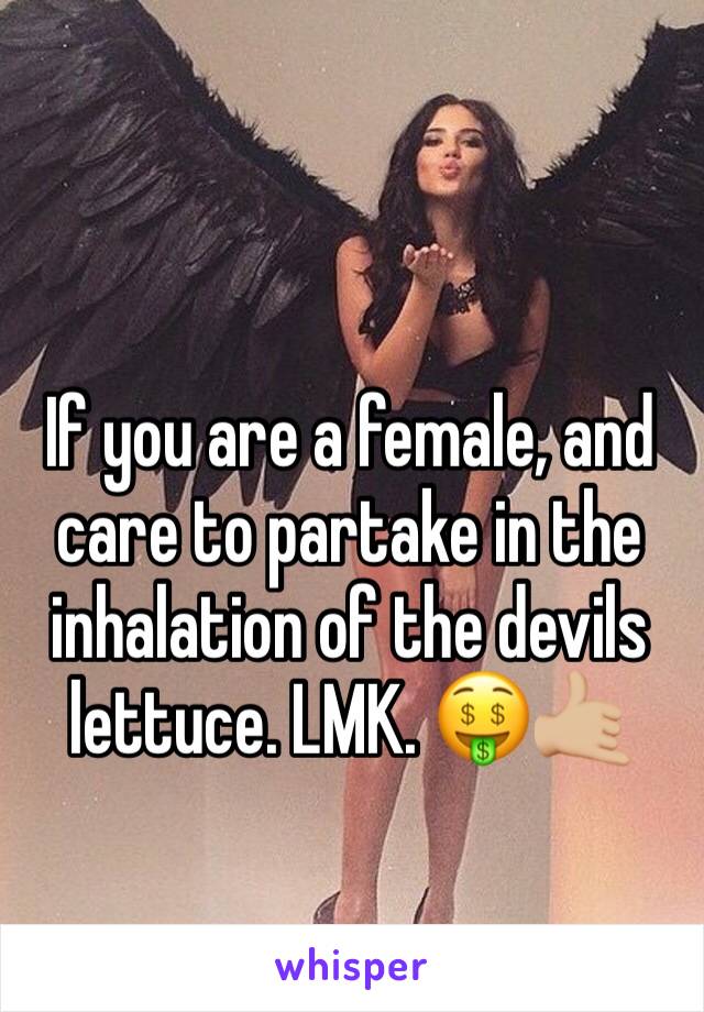 If you are a female, and care to partake in the inhalation of the devils lettuce. LMK. 🤑🤙🏼