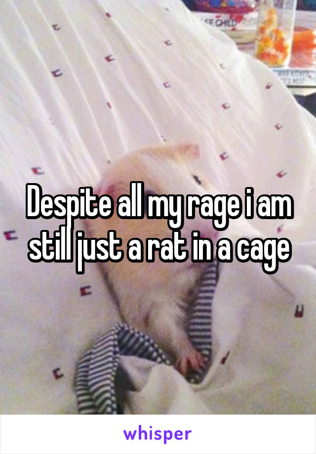 Despite all my rage i am still just a rat in a cage