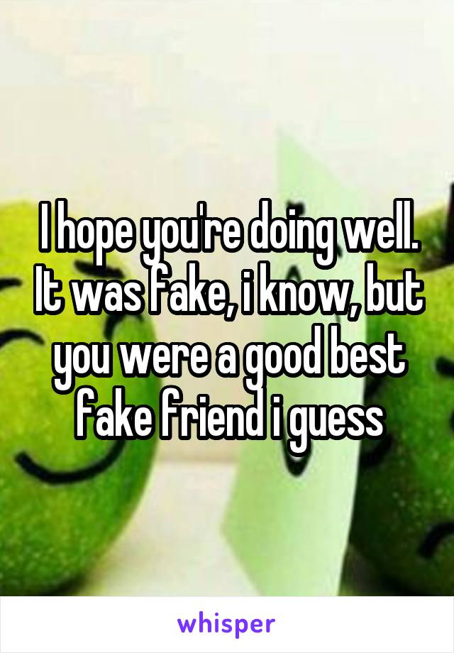 I hope you're doing well. It was fake, i know, but you were a good best fake friend i guess