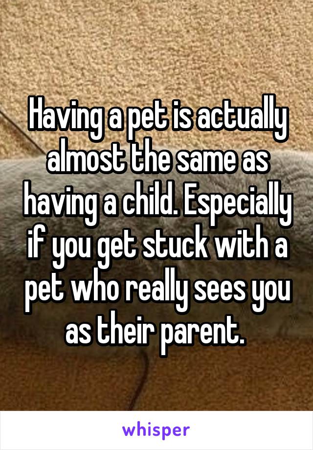 Having a pet is actually almost the same as having a child. Especially if you get stuck with a pet who really sees you as their parent. 