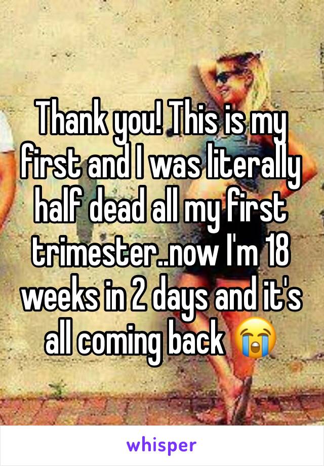Thank you! This is my first and I was literally half dead all my first trimester..now I'm 18 weeks in 2 days and it's all coming back 😭