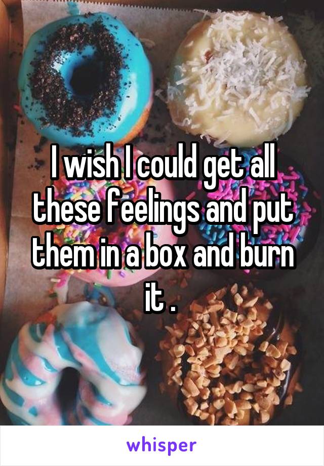 I wish I could get all these feelings and put them in a box and burn it . 
