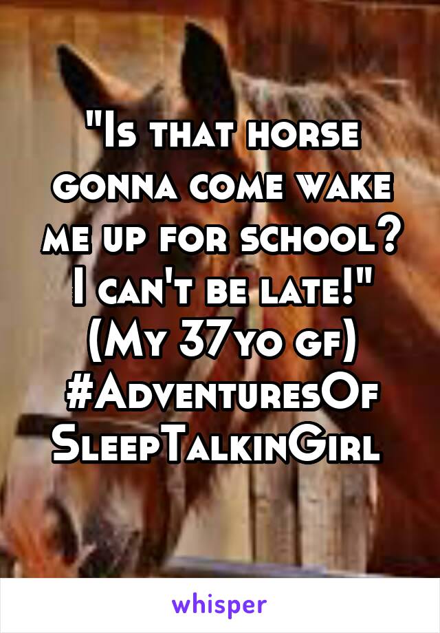 "Is that horse gonna come wake me up for school? I can't be late!"
(My 37yo gf)
#AdventuresOf
SleepTalkinGirl 
