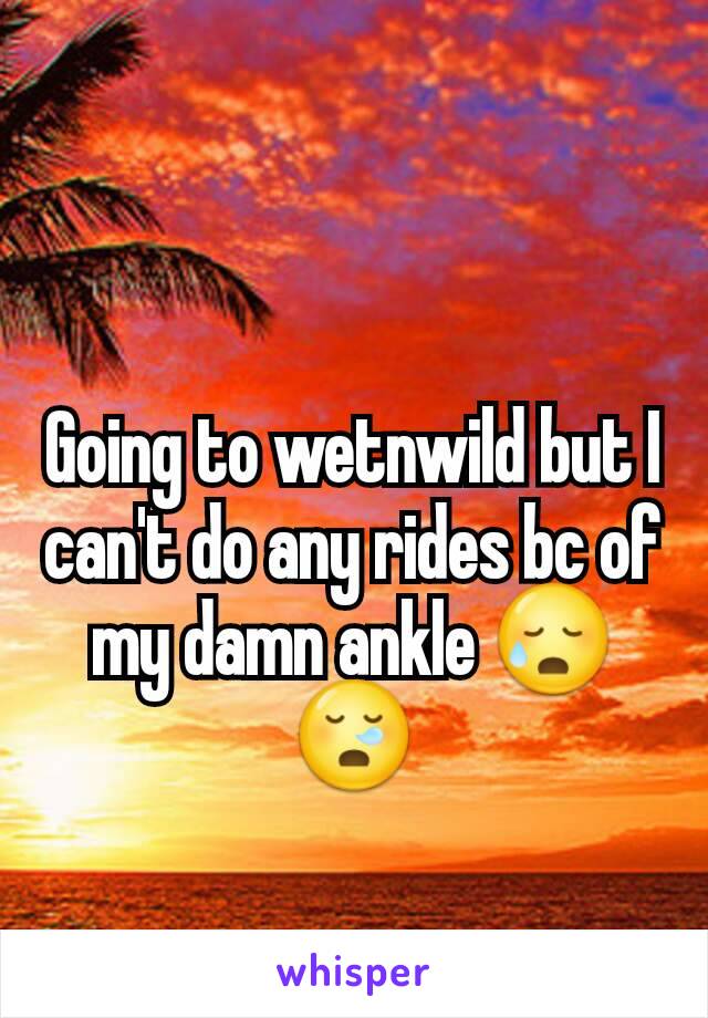 Going to wetnwild but I can't do any rides bc of my damn ankle 😥😪