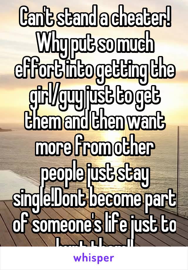 Can't stand a cheater! Why put so much effort into getting the girl/guy just to get them and then want more from other people just stay single!Dont become part of someone's life just to hurt them!!