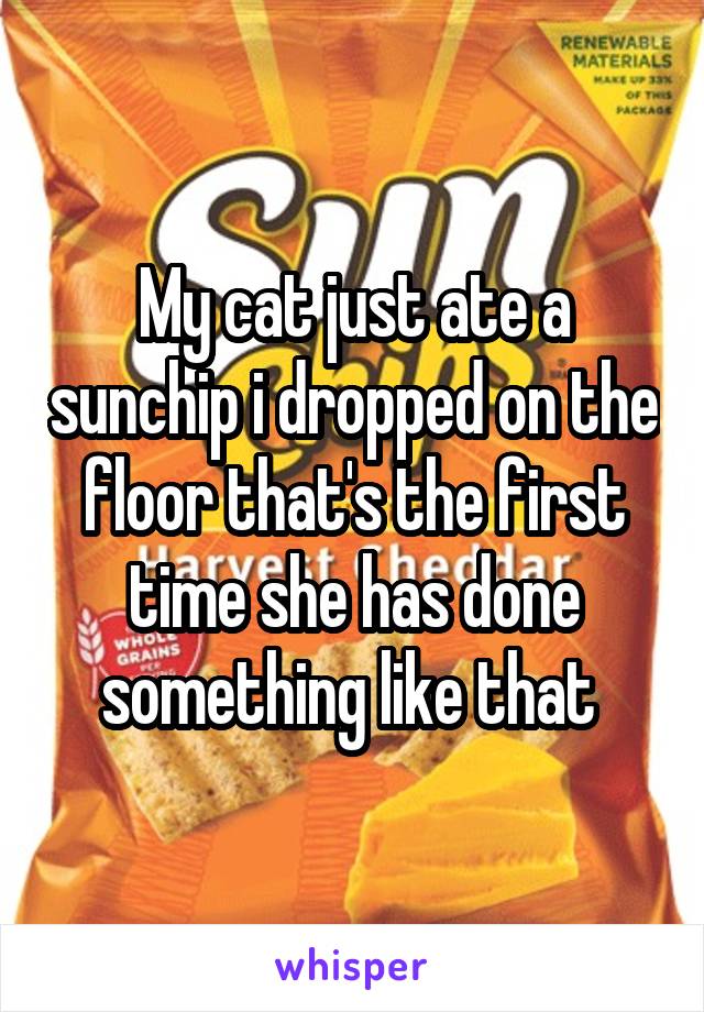 My cat just ate a sunchip i dropped on the floor that's the first time she has done something like that 