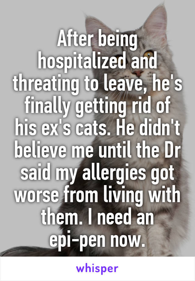After being hospitalized and threating to leave, he's finally getting rid of his ex's cats. He didn't believe me until the Dr said my allergies got worse from living with them. I need an epi-pen now.