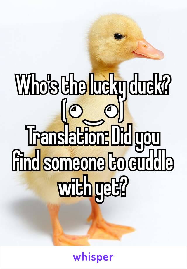 Who's the lucky duck?
(◕‿◕)
Translation: Did you find someone to cuddle with yet?