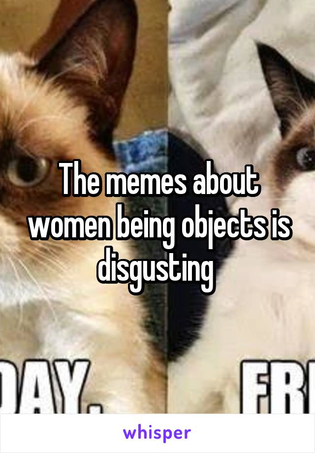 The memes about women being objects is disgusting 