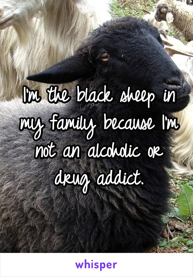 I'm the black sheep in my family because I'm not an alcoholic or drug addict.