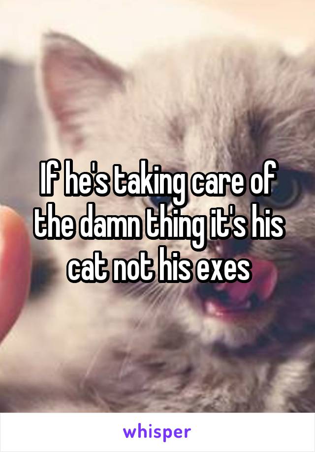 If he's taking care of the damn thing it's his cat not his exes