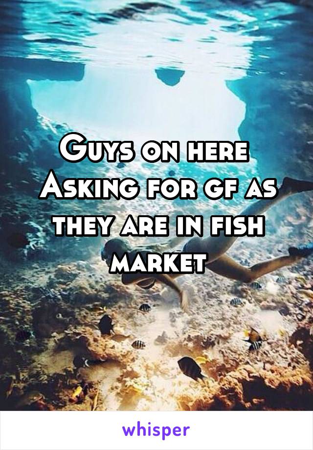 Guys on here 
Asking for gf as they are in fish market
