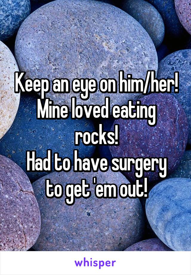 Keep an eye on him/her!
Mine loved eating rocks!
Had to have surgery to get 'em out!