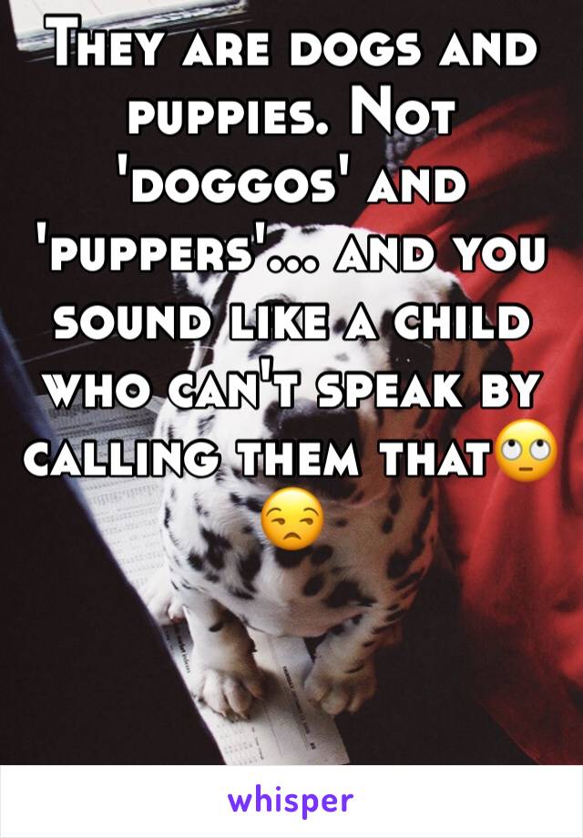 They are dogs and puppies. Not 'doggos' and 'puppers'... and you sound like a child who can't speak by calling them that🙄😒