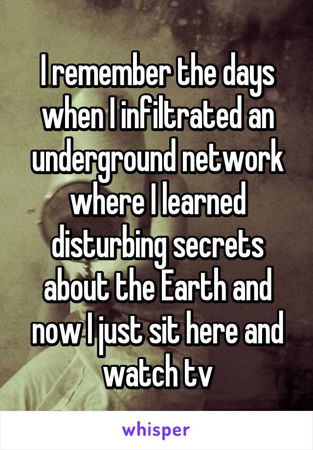 I remember the days when I infiltrated an underground network where I learned disturbing secrets about the Earth and now I just sit here and watch tv