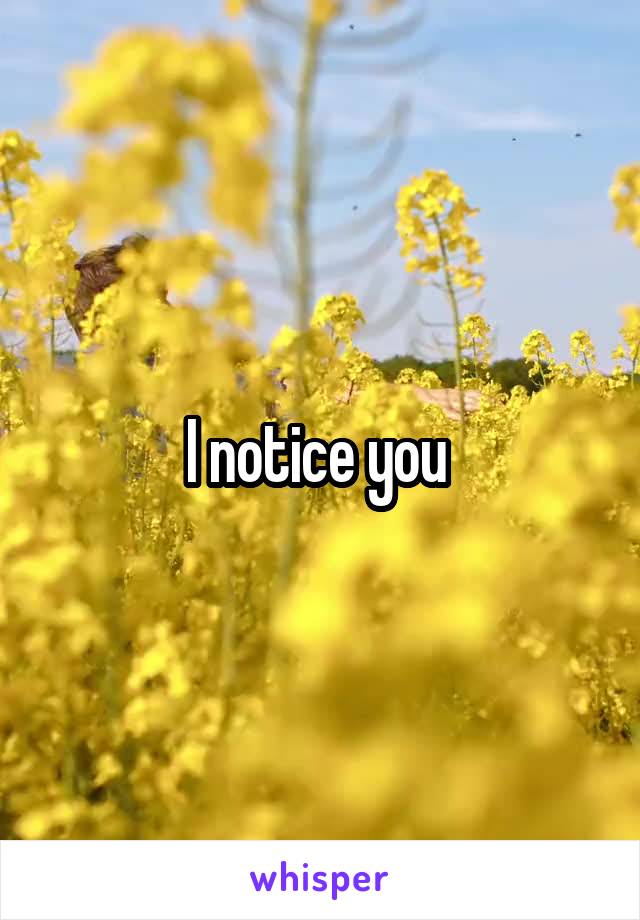 I notice you 