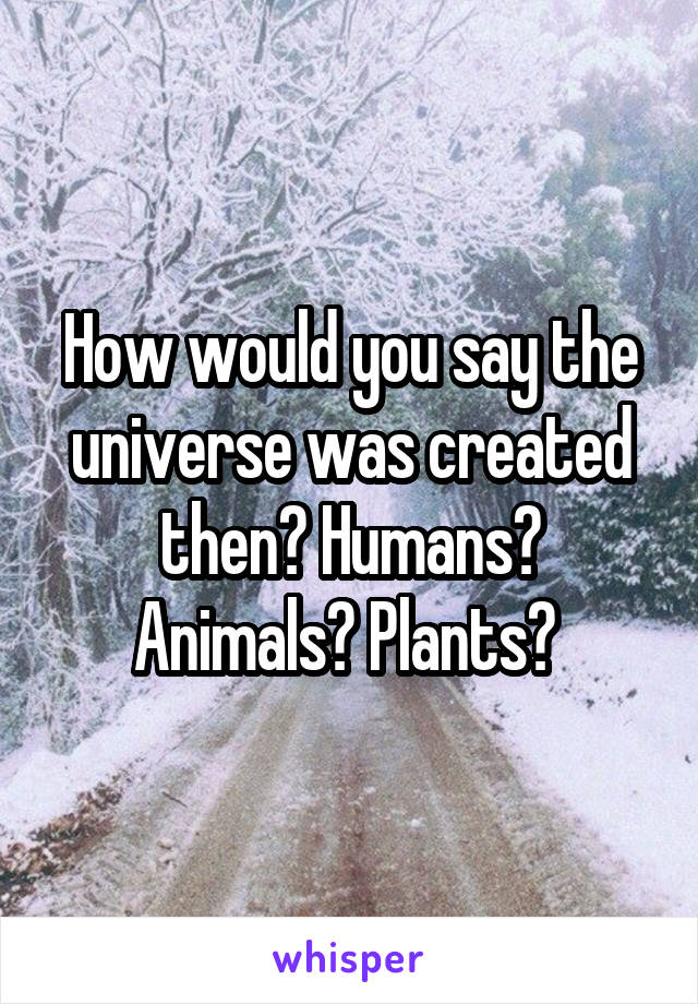 How would you say the universe was created then? Humans? Animals? Plants? 