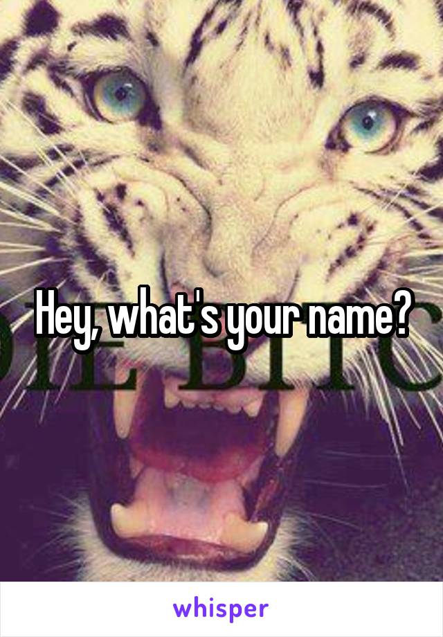 Hey, what's your name?