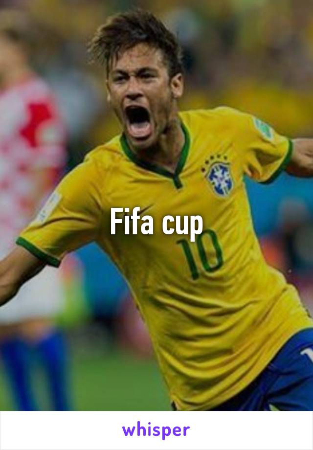 Fifa cup
