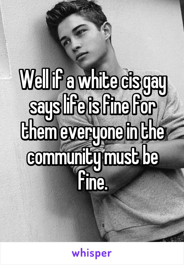 Well if a white cis gay says life is fine for them everyone in the community must be fine.