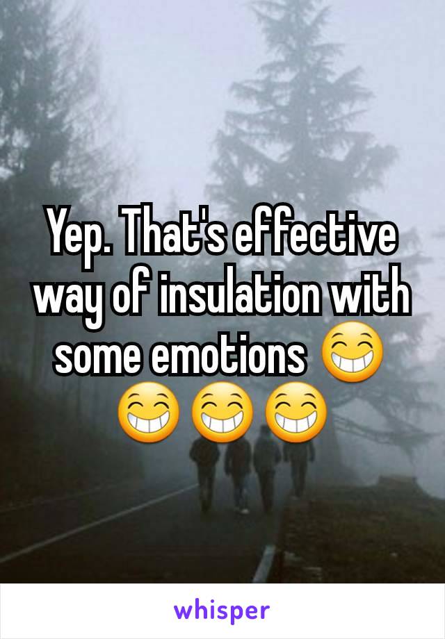Yep. That's effective way of insulation with some emotions 😁😁😁😁